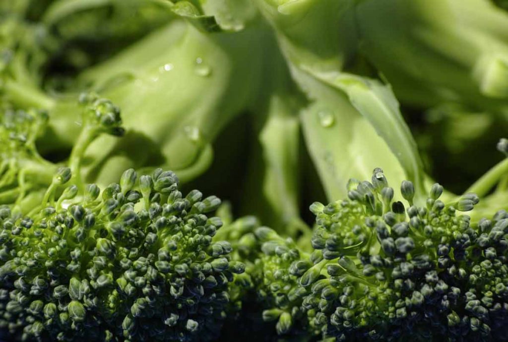 Propiedades y beneficios de brócoli