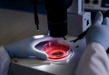 Talquetamab con daratumumab avanza hacia segunda línea en mieloma múltiple Investigación