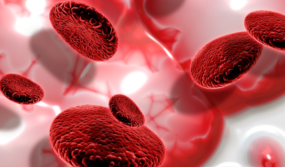 Células de sangre