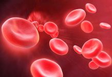 La ferritina gana protagonismo como señal temprana del déficit de hierro en la campaña “Mi Vecina Ferritina”