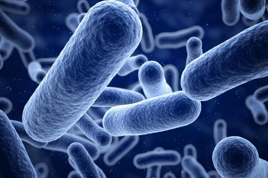 Cómo saber si tengo una infección causada por hongos o por bacterias
