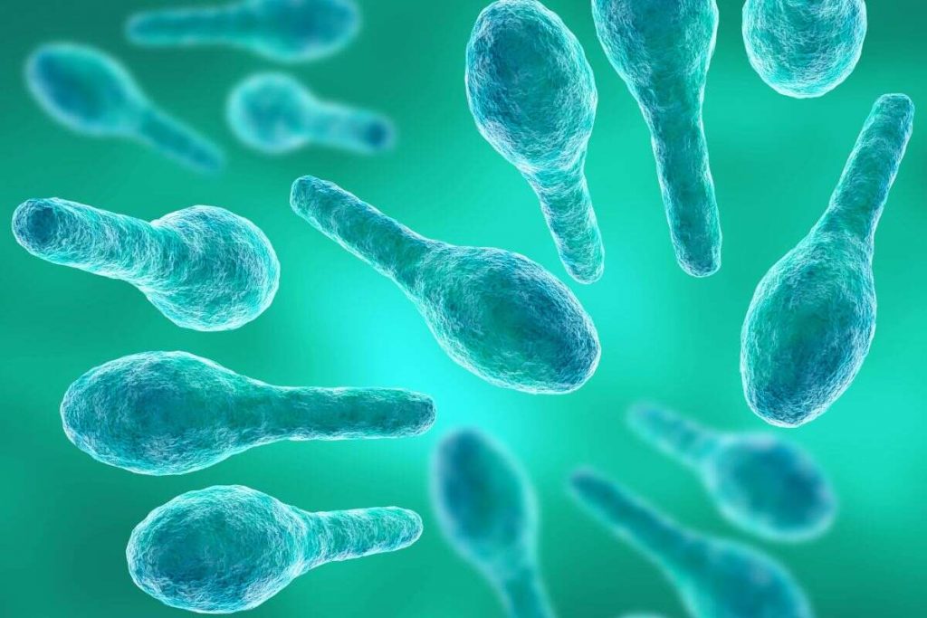 ¿Qué es el tétanos y cuáles son los signos de esta enfermedad?